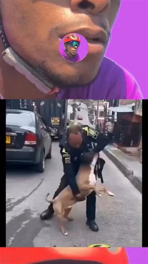 Fernando monteiro | Conteúdo Impactante e Real | 🇧🇷🇺🇸🇫🇷🇮🇱🇸🇻🇦🇷🇯🇲 on Instagram: "✅Receita simples do (Adam mosseri )👇🏾👇🏾 ✅Principais Características do Algoritmo em 2026: IA e Personalização: Uso avançado de IA para entender o usuário e entregar conteúdo altamente personalizado, mapeando detalhes do comportamento. ✅Engajamento Qualitativo: Valorização de interações significativas como salvamentos, compartilhamentos e comentários profundos, não só curtidas. 👇🏾 ✅Autenticidade e