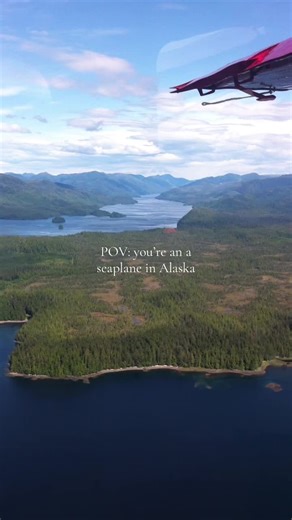 An amazing experience! 📍Juneau, Alaska #alaska #juneau #travel #traveltok #nature