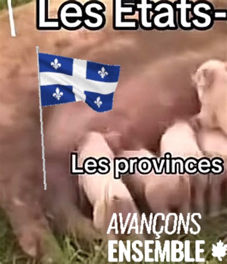 Funny politico (@funny_politico)’s videos with son original