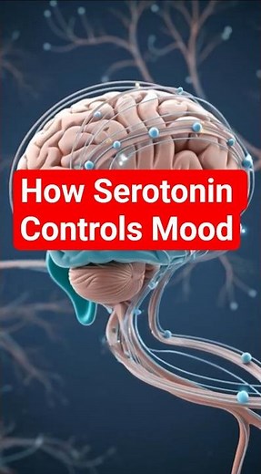How Serotonin Controls Mood, Sleep, and Digestion