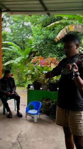 4K reactions · 13 shares | Part II instrumen biola | Koko | Facebook