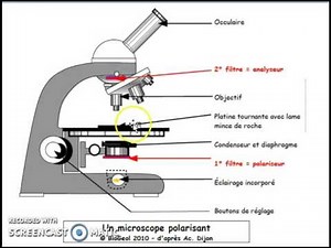 microscope polarisant