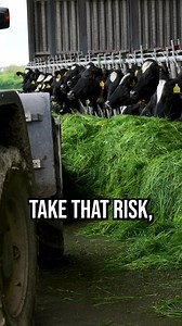 John moved from beef to dairy, this is why he opted for the ZERO GRAZING system 🐄🌱 #grasstechnology #zerograzing #grasstomilk | Grass Technology