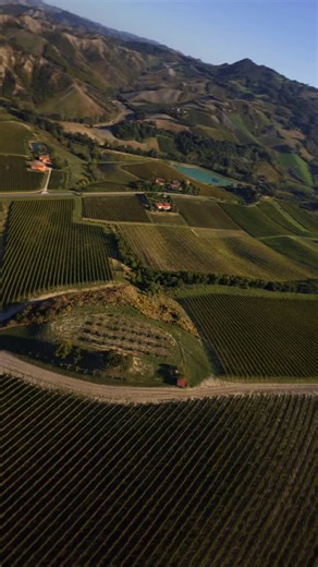 Yannik Freund | FPV Drone Pilot on Instagram: "Cruising along the vineyards in Italy’s countryside Shot on DJI Action 5 Pro 5 inch FPV Drone: - FC/ESC: Speedybee f405 v4 stack - Motors: @mepsking SZ 2408 1900kv - Frame: FlyFish Volador VD5 II - Battery: Ovonic 1600mah 120c - VTX: DJI o3 Air unit FPV Drone Freestyle Quad Action Speed #fpv #drone #fpvdrone #fpvpilot #dji"