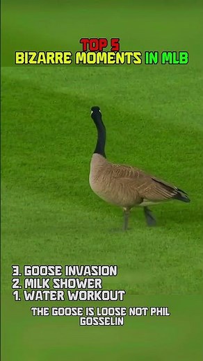 ⚾Top 5 Bizarre Moments in MLB History😳 #mlb #baseball #mlbhighlights #funnymoments #funnybaseball