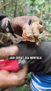 173K views · 2.3K reactions | Sihir Bunga Api. Satu kaedah mudah dan pantas untuk kemandirian hidup di hutan. #orangasli | Dome Nikong | Facebook