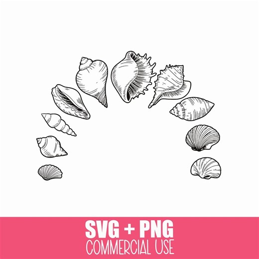 Seashell Collection SVG | Beach Shell Clipart for Cricut & Silhouette | Coastal Ocean Sea Life Cut File | Summer Craft Design | Shirt Design - Etsy