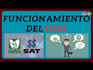 COMO FUNCIONA EL IMSS