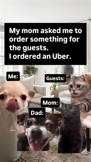 #fyp #memes #meme #funny #fun