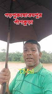 #বন্যা২০২৫, নদীর জল ক্রমশ বাড়ছে #গড়পুরুষোত্তমপুর #কংসাবতীনদী #পাঁশকুড়া #পূর্বমেদিনীপুর। | Tarapada & Priyanka Vlogs