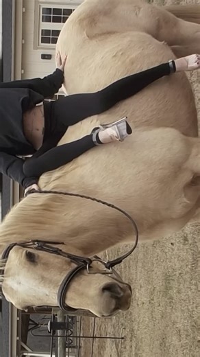 siiickbrain | 2026 | Instagram