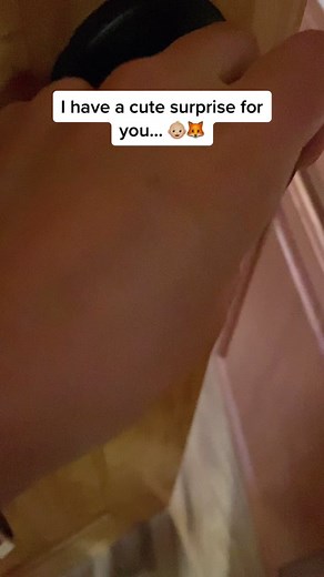 Arctic Fox and Red Fox's Heartwarming Friendship at Wildlife Rescue