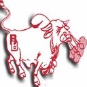 Bellville High School (TX)  Soccer