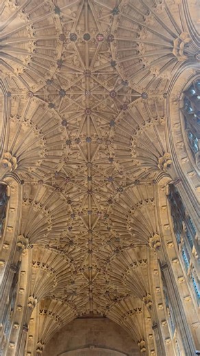 I am not in any shape or form religious but organ recitals I find spellbinding. They are mesmerising. Can you imagine the medieval peasant listening to them in such incredible buildings full of beautiful architecture built by Freemasons, in an age of no computer models, no electricity and knowing you may never see such a building finished in your life time. You can understand why religion became so powerful. You can start to understand that such places were truly devine and that you were truly i