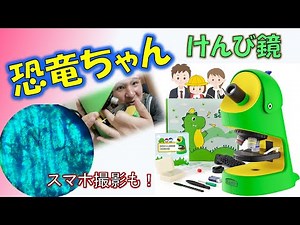 恐竜ちゃん顕微鏡がかなりすごかった！子供のプレゼントに最適