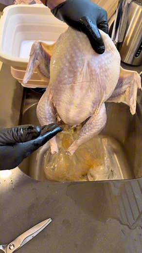 Thanksgiving is a process, the first step is to Brine your Turkey. I’m using @meatchurch Bird Baptism which is almost too easy, just make sure to read all the instructions lol. Let it take a bath in this delicious brine for 12-24 hours and you will get a flavorful and moist Turkey in the end. #thanksgiving #brine #meatchurch #thanksgivingprep | Svenddiesel