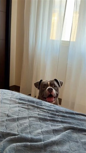 Never a dull moment with my happy pill.