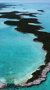Exuma's paradise: Pristine cays and swimming pigs captured by drone
