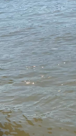 1M views · 24K reactions | That time we went to texas extreme atv park and joe wanted to swing off the rope like the kids and hit the water hard 藍藍藍臘‍♂️臘‍♂️臘‍♂️# funny video | Aubrey Slim Smith | Facebook