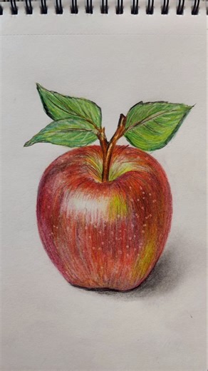 How to Drawing A Realistic Apple Art|| #art #pencilportrsit #reels #drawing #applepencil #applepen