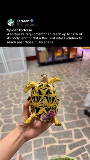 This Was… Necessary