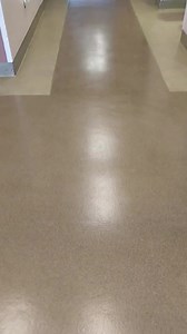 13K views · 302 reactions | Northwest Boxer Rescue on Reels | Facebook