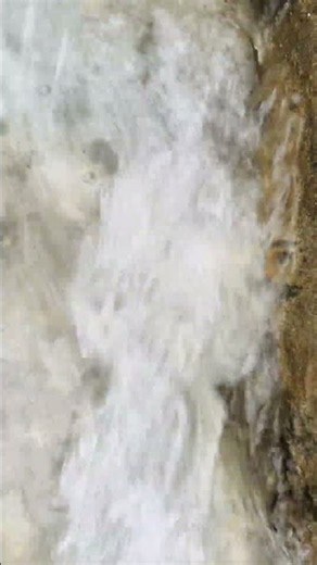 🌿 Relaxing Flowing Water Sounds | Stress Reduction, Better Focus & White Noise