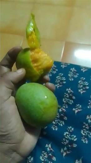 ഊർ മാങ്ങാ my fav ഞാൻ ഇന്ന് തിന്നു മരിക്കും 🤪🤪with nostttt❤️