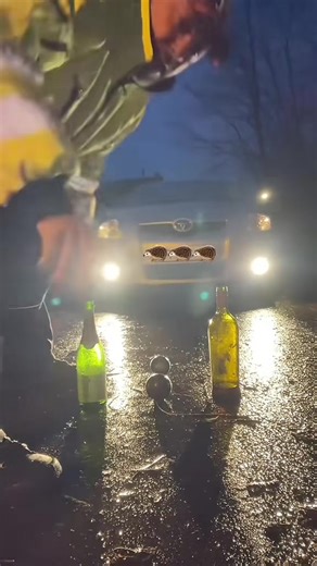 Vidéos de Pépite🦔 (@pepite______) avec son original - Aless