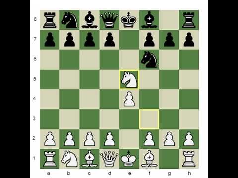 The Petroff Defence - Chess Video