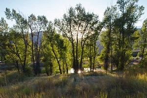 Astoria Park - Astoria Hot Springs Park