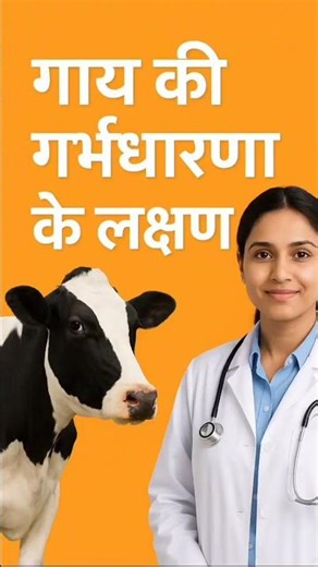 “गाय की गर्भधारणा के 7 पक्के लक्षण | Cow Pregnancy Symptoms Explained”#shorts