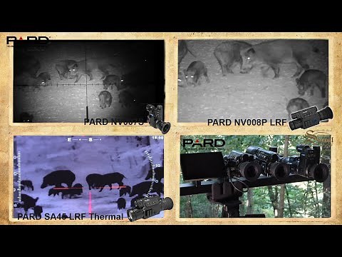 Pard - comparative test NV007S; NV008P; Thermal SA45 - Serval Channel tested for you