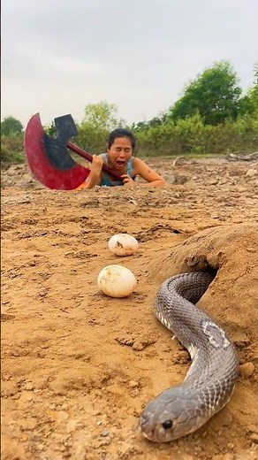 Brave Girl Traps Extremely Poisonous Snake In Hole With Chicken Egg, Scared