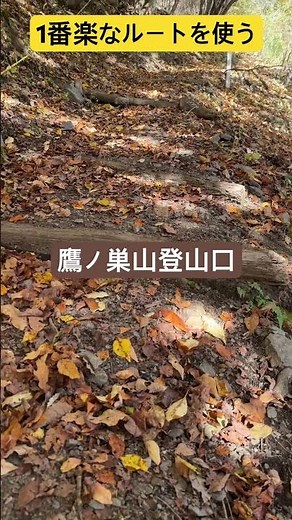 From Minetani trailhead to Takanosuyama