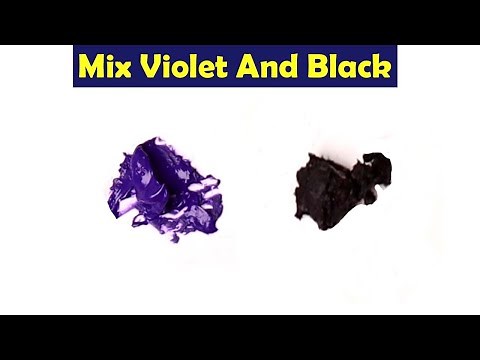 Mix Violet And Black - What Color Make Violet And Black - Color Mixing Paint