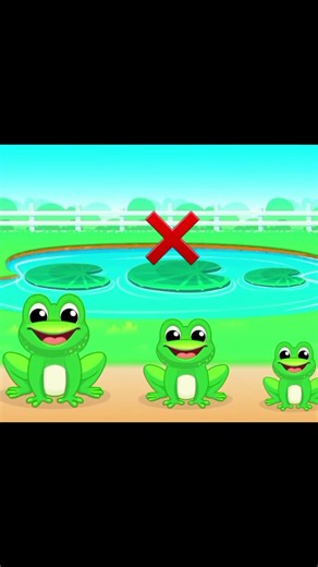 Sort by size ! | frogs 🐸 |