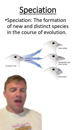 Allopatric vs Sympatric Speciation Explained