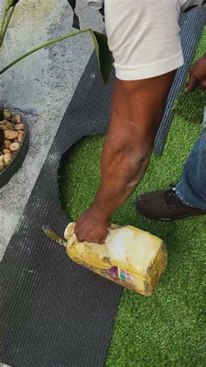 Ninguém esperava esse resultado… 🌿 ASMR no jardim do prédio