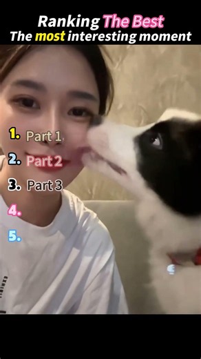 Kiss your dog and observe their reaction.🐶🐕🦮🐕‍🦺🐩 #dog #funny #foryou #pets #kiss #love #fyp #puppy