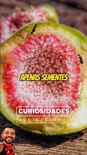 Don't eat FIGS before watching this video! #fruits #plants #fig