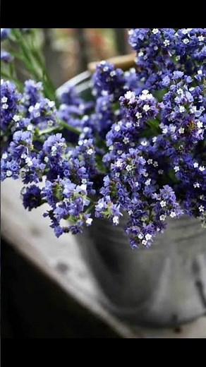 🌸 “Top 10 Winter Flowers That Bloom Like Crazy in winter — #10 Will Shock You!"