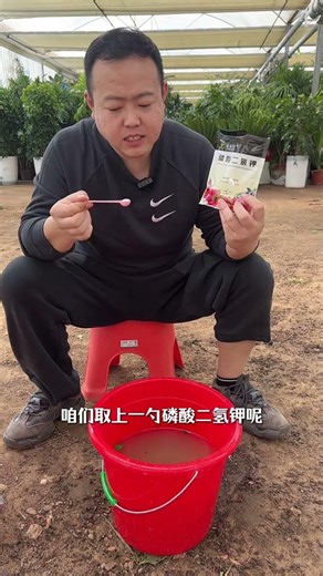 Secrets of Successful Flower Farming - Ultimate Guide