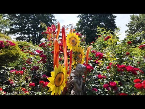 European River Cruise Episode 20: Bavarian Glass Village tour (Germany)