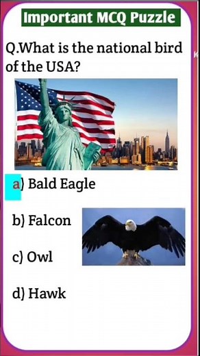 USA Quiz Challenge: Test Your Knowledge with These Questions! #usa #usashorts #usaquiz #usafacts