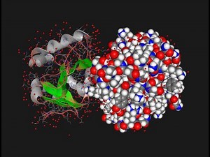 Dockamon 1.1 - Molecular Docking and Virtual Screening Software - New Features