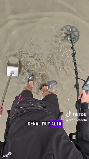Descubriendo Tesoros con Detector de Metales