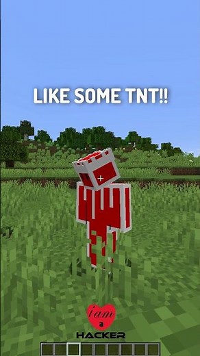 Types of Hackers in Minecraft