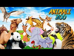 ZOO ANIMALS: UNIQUE Characteristics and Curiosities