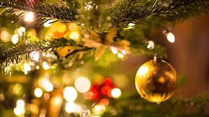 Die Geschichte des Weihnachtsbaumes: Warum schmücken wir zu Weihnachten eine Tanne?